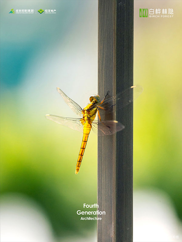 000000.jpg 000000.jpg