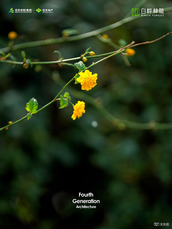 000000.jpg 000000.jpg