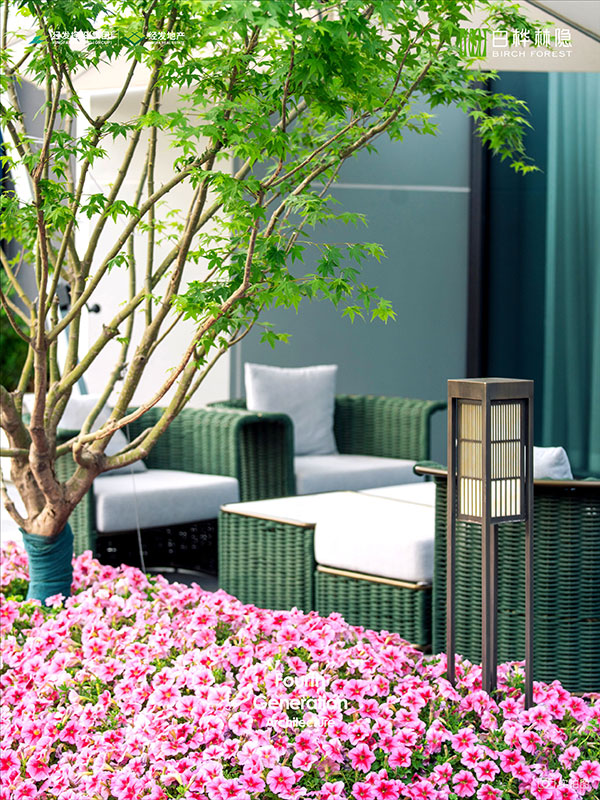 000000.jpg 000000.jpg