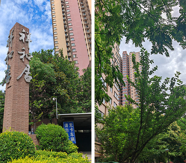 000000.jpg 000000.jpg