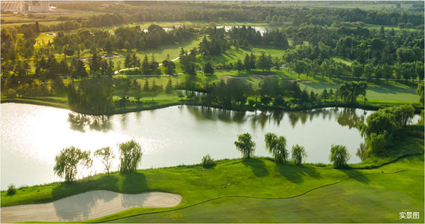 000000.jpg 000000.jpg