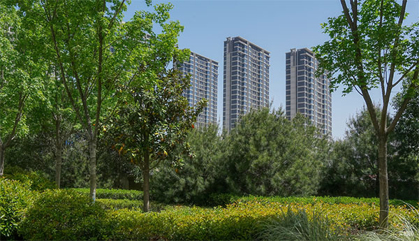 000000.jpg 000000.jpg