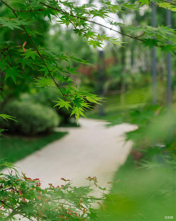 000000.jpg 000000.jpg