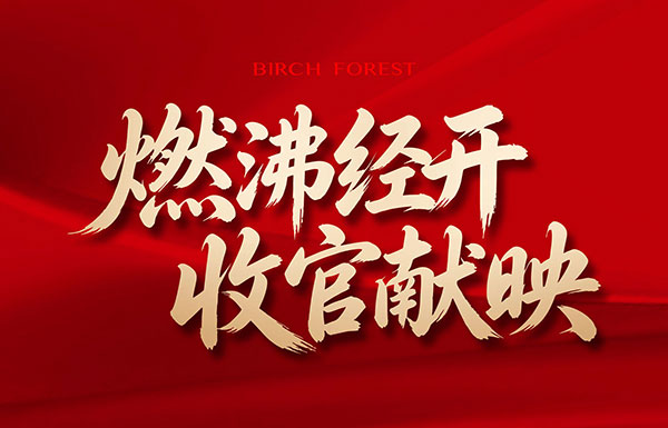 白桦林书香 | 燃沸经开，收官献映